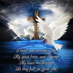 Meet your Posher, Jolene